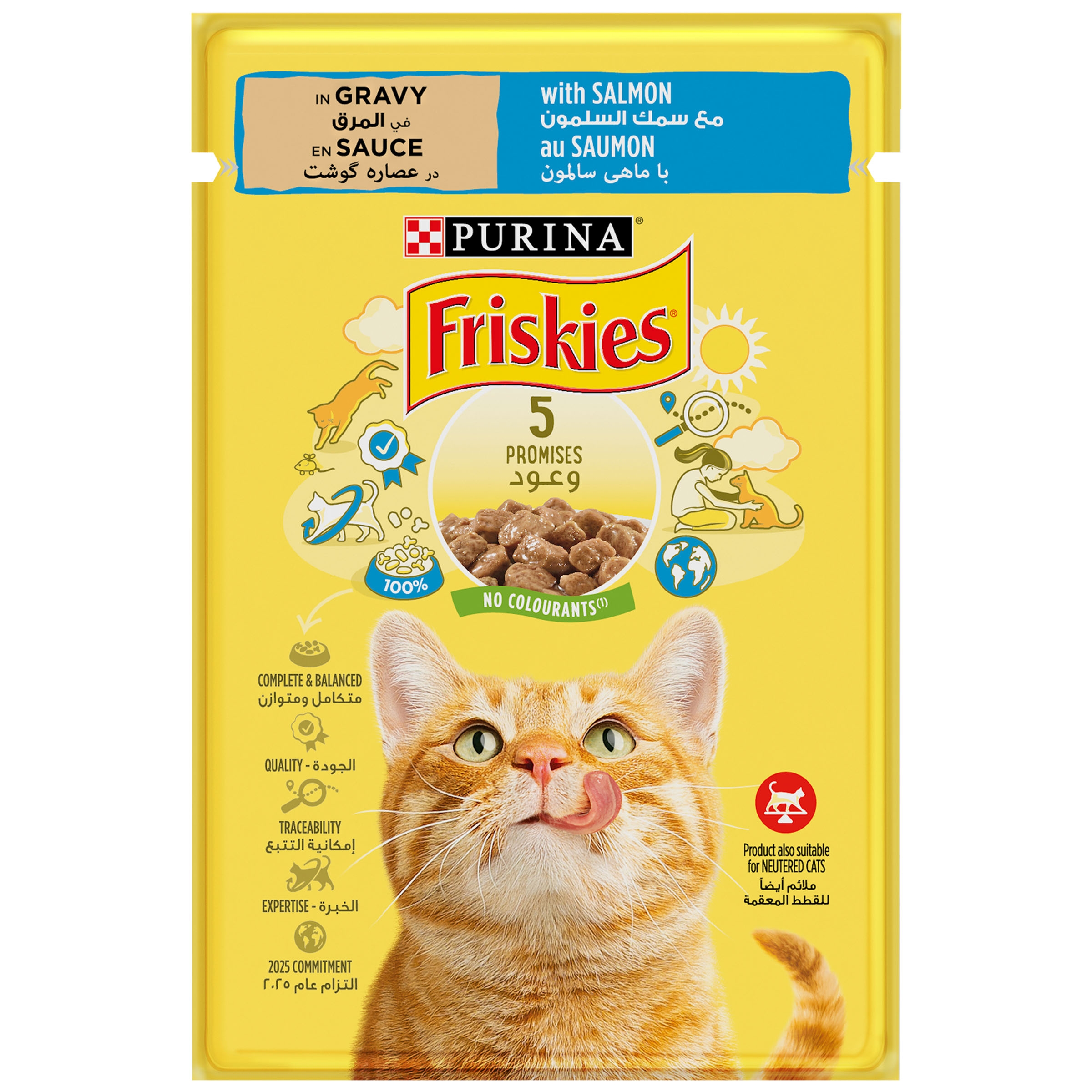 FRISKIES Salmon in Gravy Wet Cat Food 85g Purina